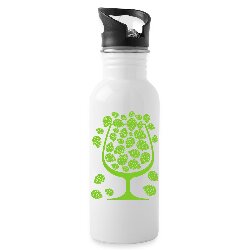 Water bottle